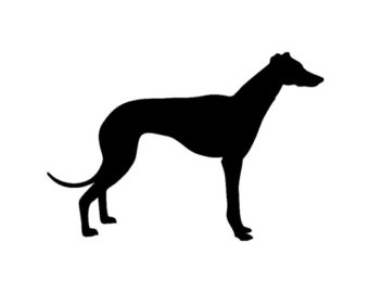 Highfield Hounds Dog Walking Field